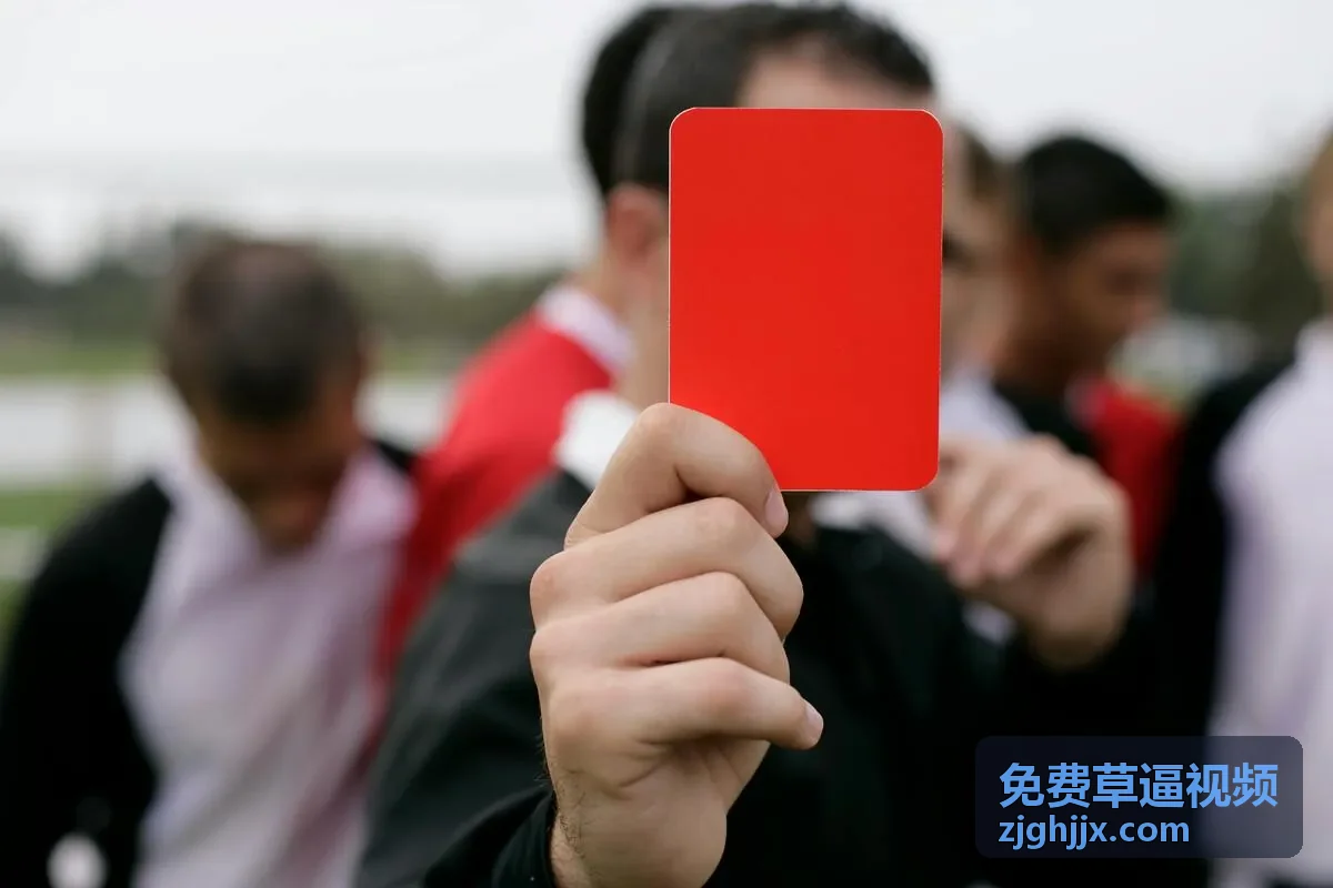 高清视频封面 6